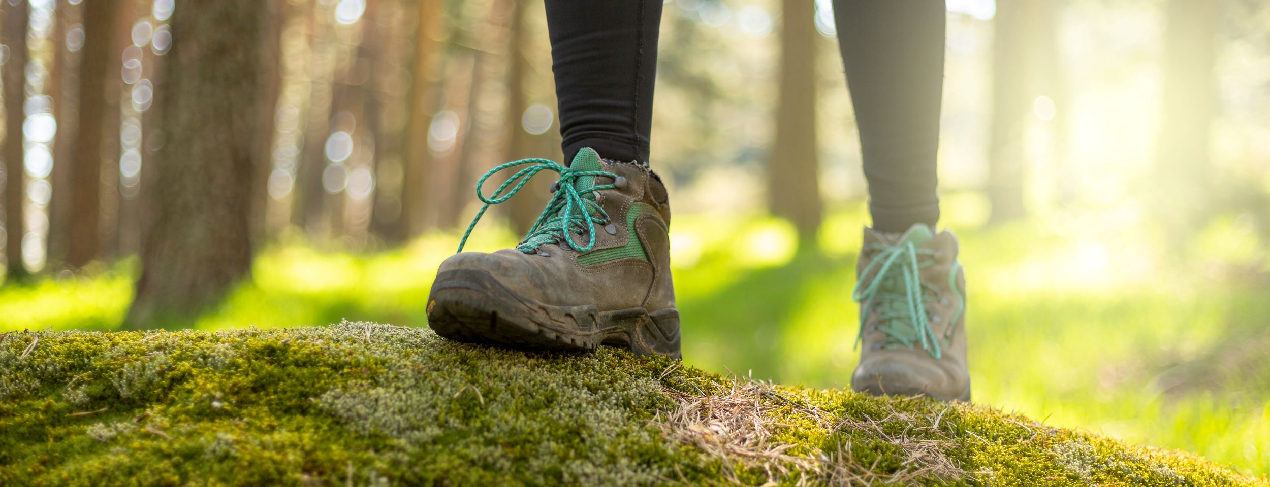 Hiking boots in a mossy forest.