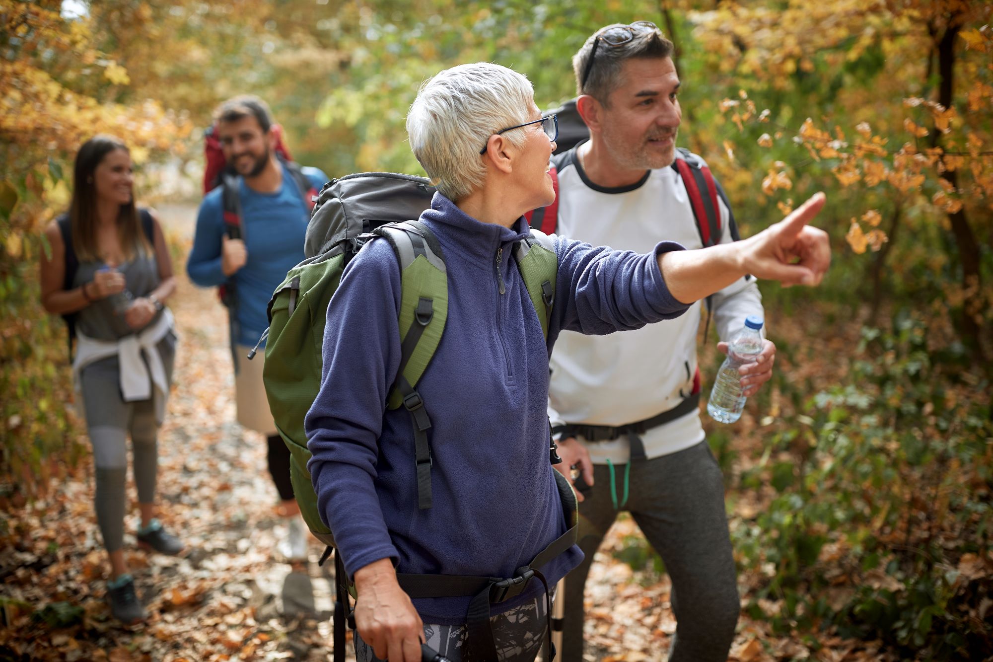 A group of hikers, hiking to get healthy.